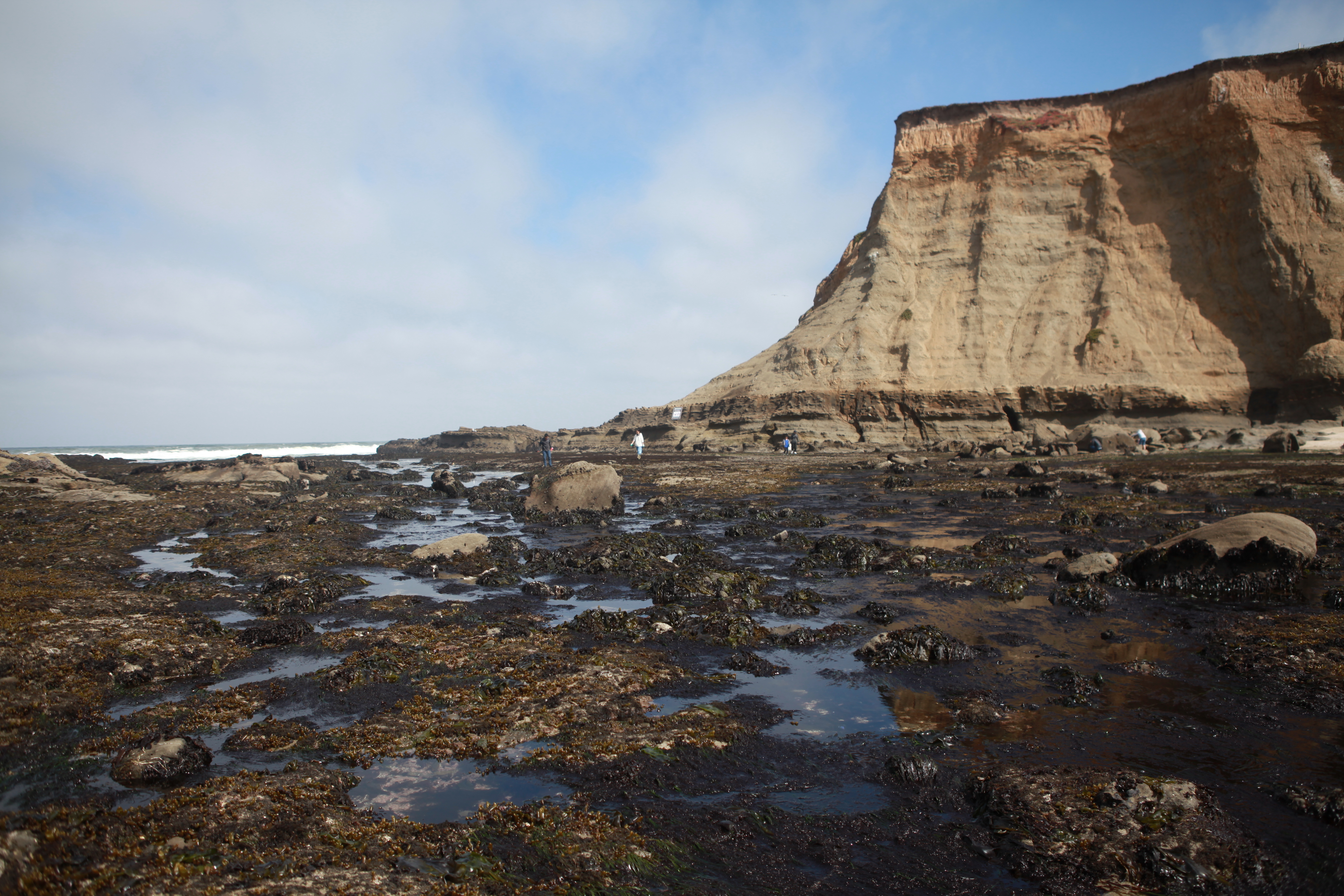 Pillar Point at a low minus tide